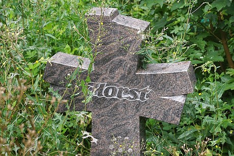 Kreuzau