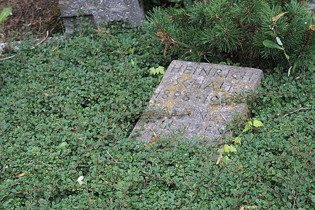 Kreuzau