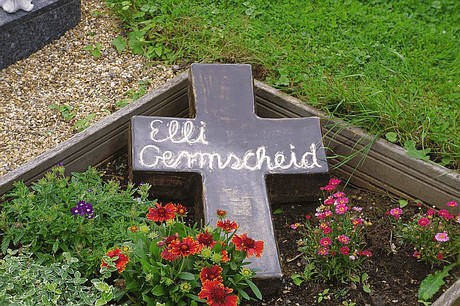 Kreuzau