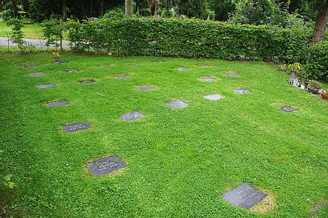 Kreuzau