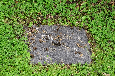 Kreuzau