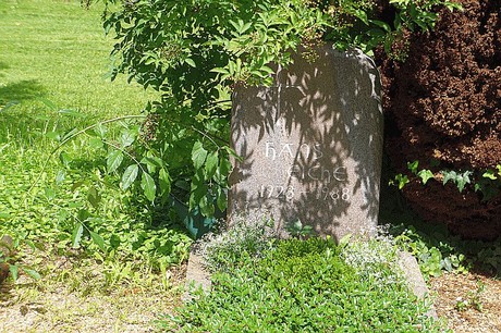 Kreuzau