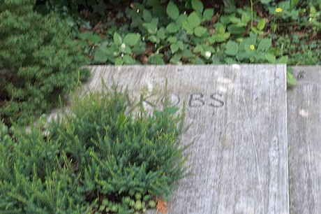 Kreuzau