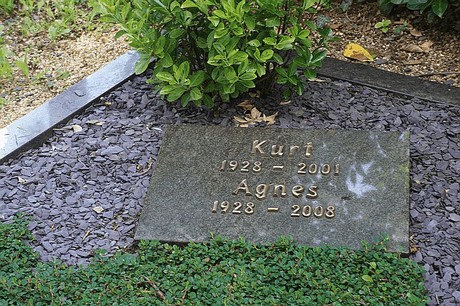 Kreuzau