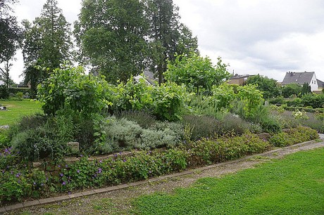 Kreuzau