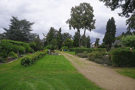 Kreuzau