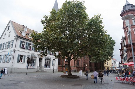 kaiserslautern