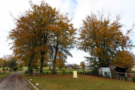 kalterherberg