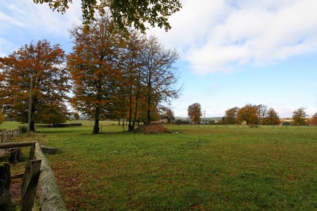 kalterherberg