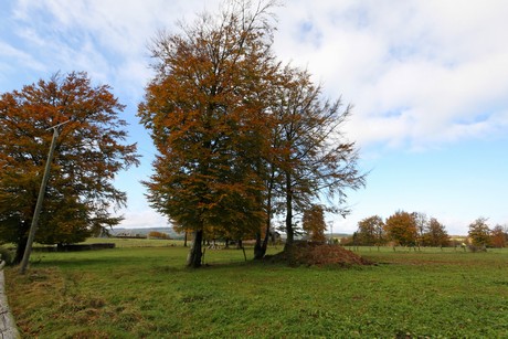 kalterherberg