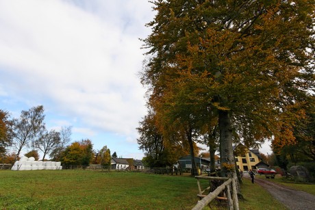 kalterherberg