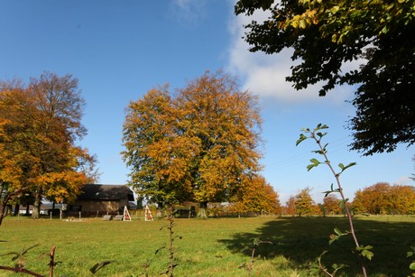 kalterherberg