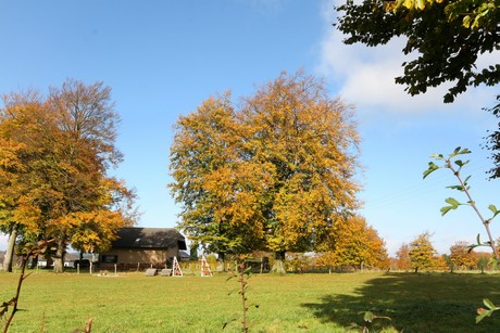kalterherberg