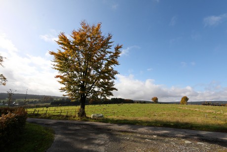 kalterherberg