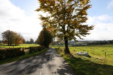 kalterherberg