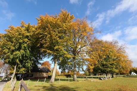 kalterherberg