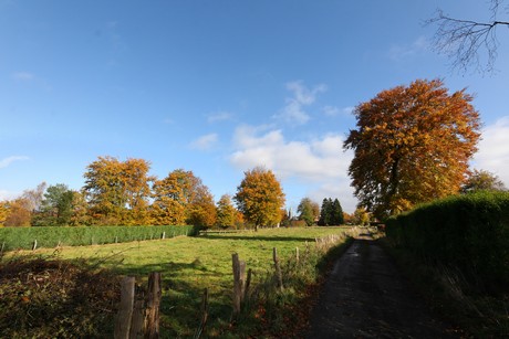 kalterherberg