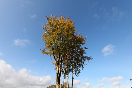 kalterherberg