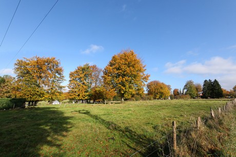 kalterherberg