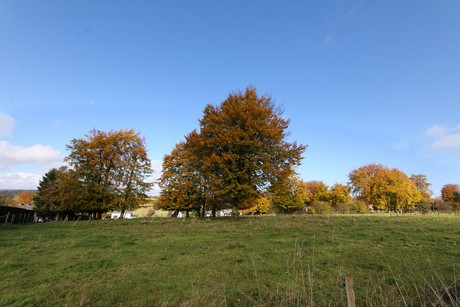 kalterherberg