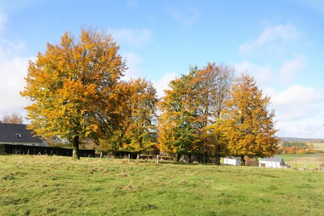 kalterherberg