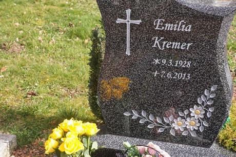 Kaster