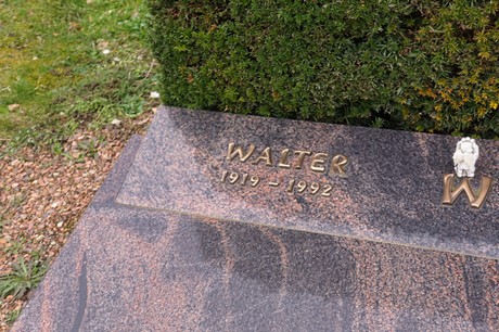 Kaster