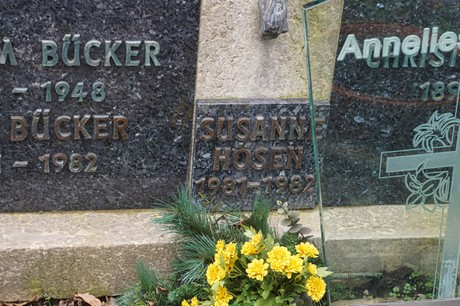 Kaster