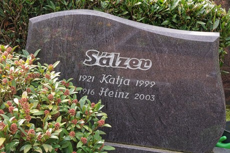 Kaster
