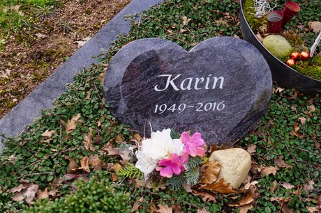 Kaster