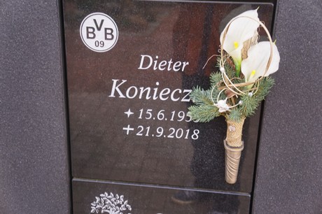 Kaster