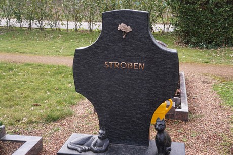 Kaster
