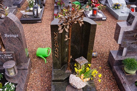 Kaster