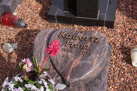 Kaster
