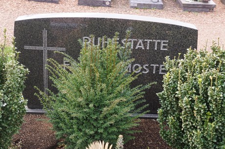 Kaster
