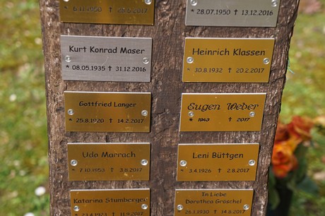 Kaster