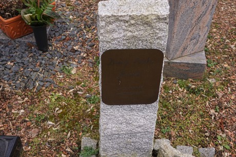 Kaster