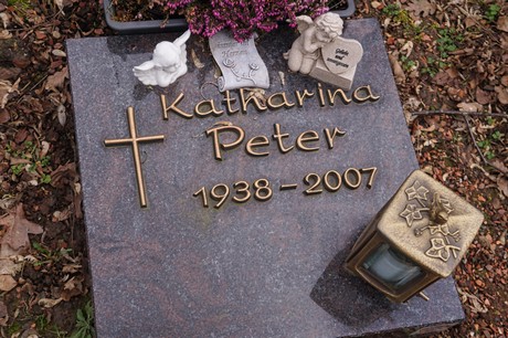 Kaster