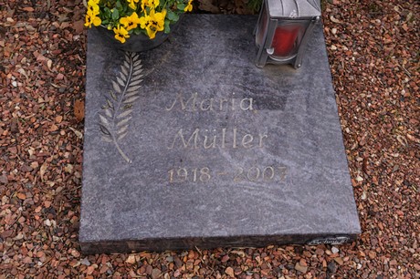 Kaster