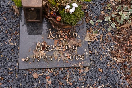 Kaster