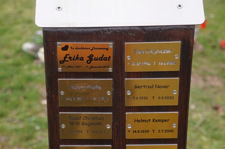 Kaster