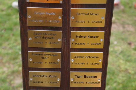 Kaster