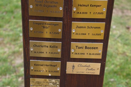Kaster
