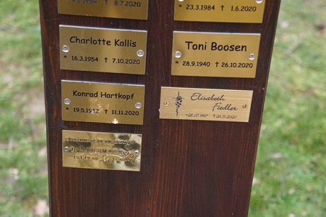 Kaster