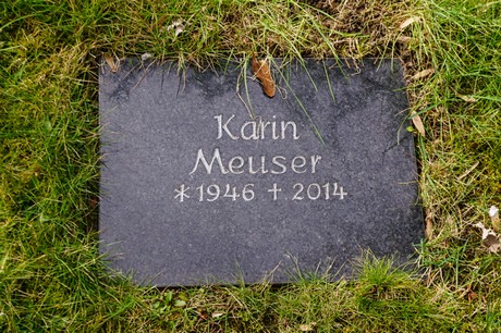 Kaster