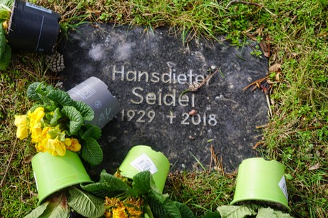 Kaster