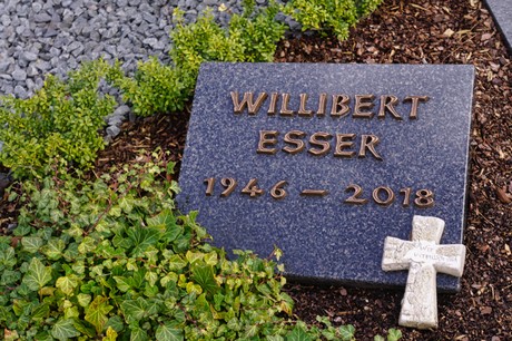 Kaster