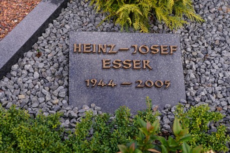 Kaster