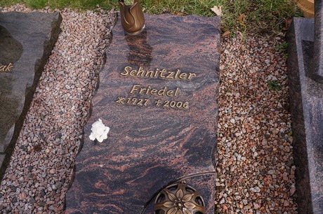 Kaster