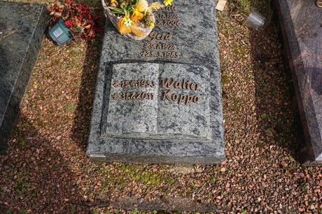 Kaster